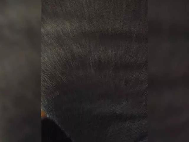 Freechat Andr86mskk on BongaCams