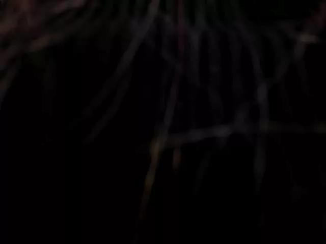 LexieWayne on BongaCams 