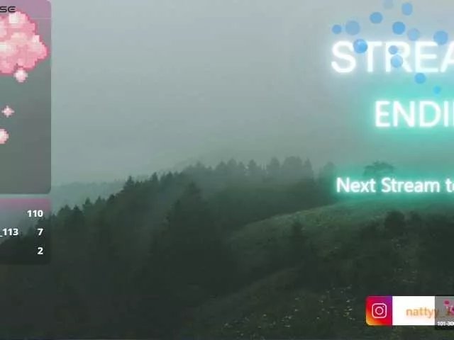 Offline lili-hott63 on BongaCams