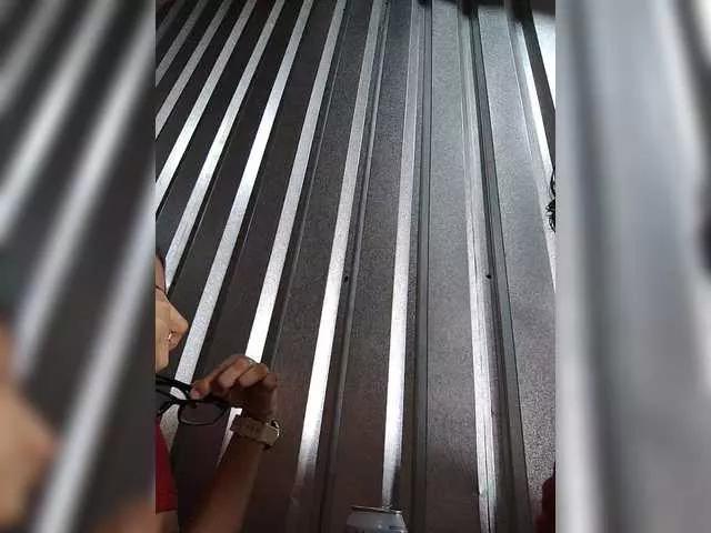 Offline pecatto on BongaCams