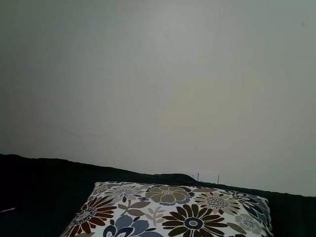 Offline PetiteBunnny on BongaCams