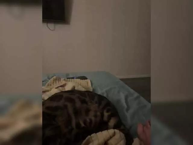 Freechat QUEEN-KING on BongaCams