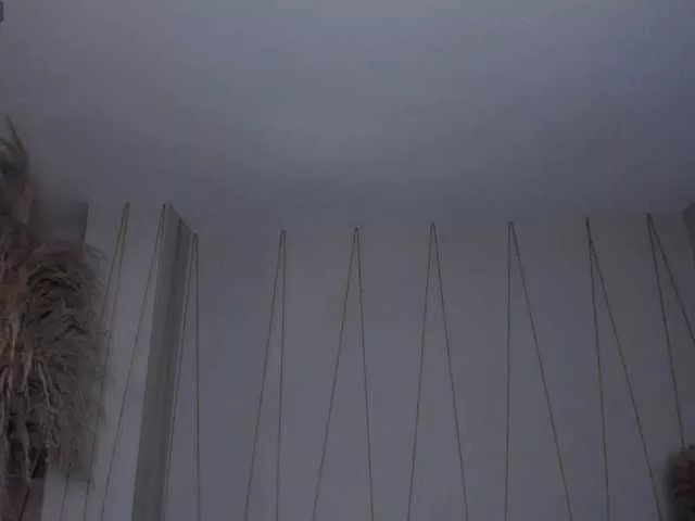 Offline ScarlettBoss on BongaCams