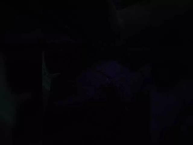 sexpara9 on BongaCams 