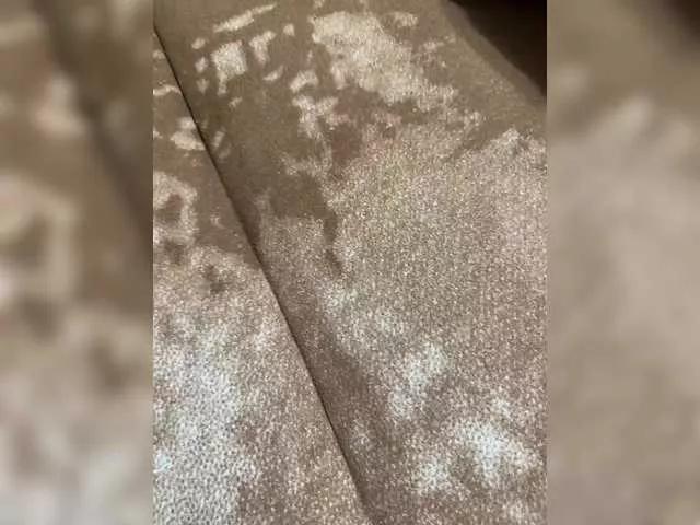 Sexy-famyli on BongaCams 