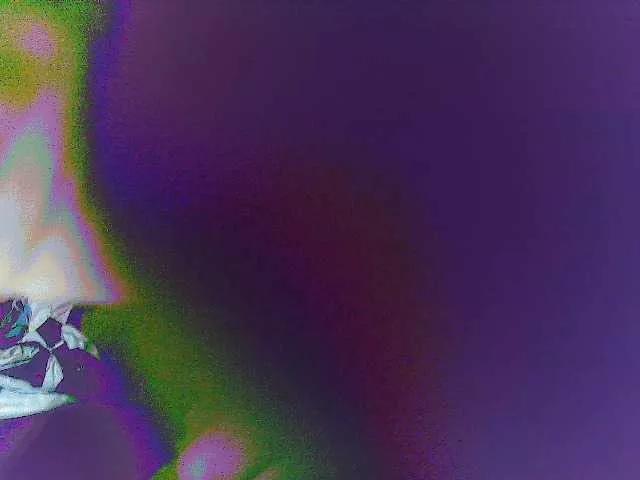 sweetjen19 on BongaCams 