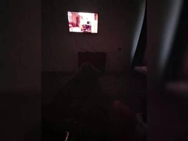 Timur137777 on BongaCams 
