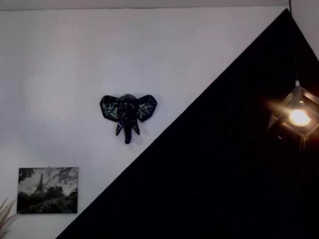 Offline VeronicaLewis on BongaCams