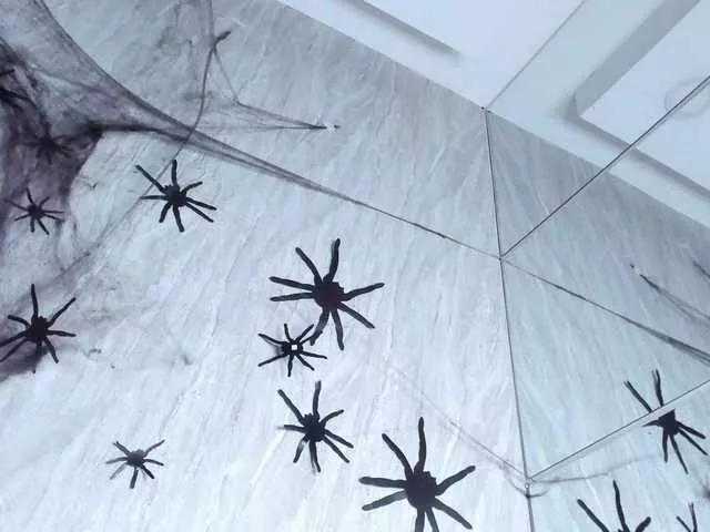 Offline wandalover on BongaCams