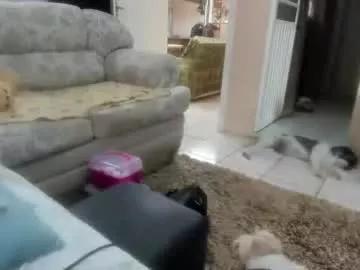 laylabrasil on Chaturbate 