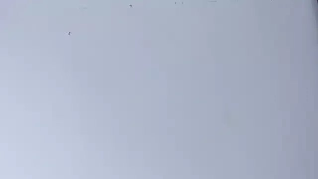 Freechat Lady_miss___ on StripChat