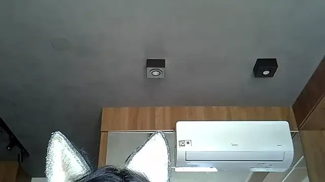 Freechat SkinnyKitten on StripChat